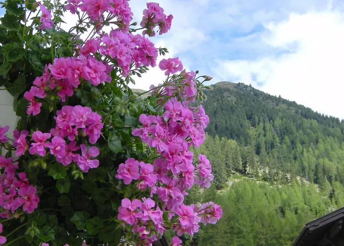 Appartementhaus Nadine شقة لانغنفلد