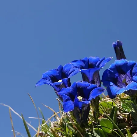 Appartementhaus Nadine