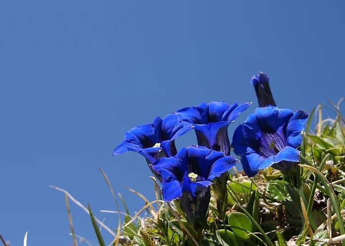 Appartementhaus Nadine